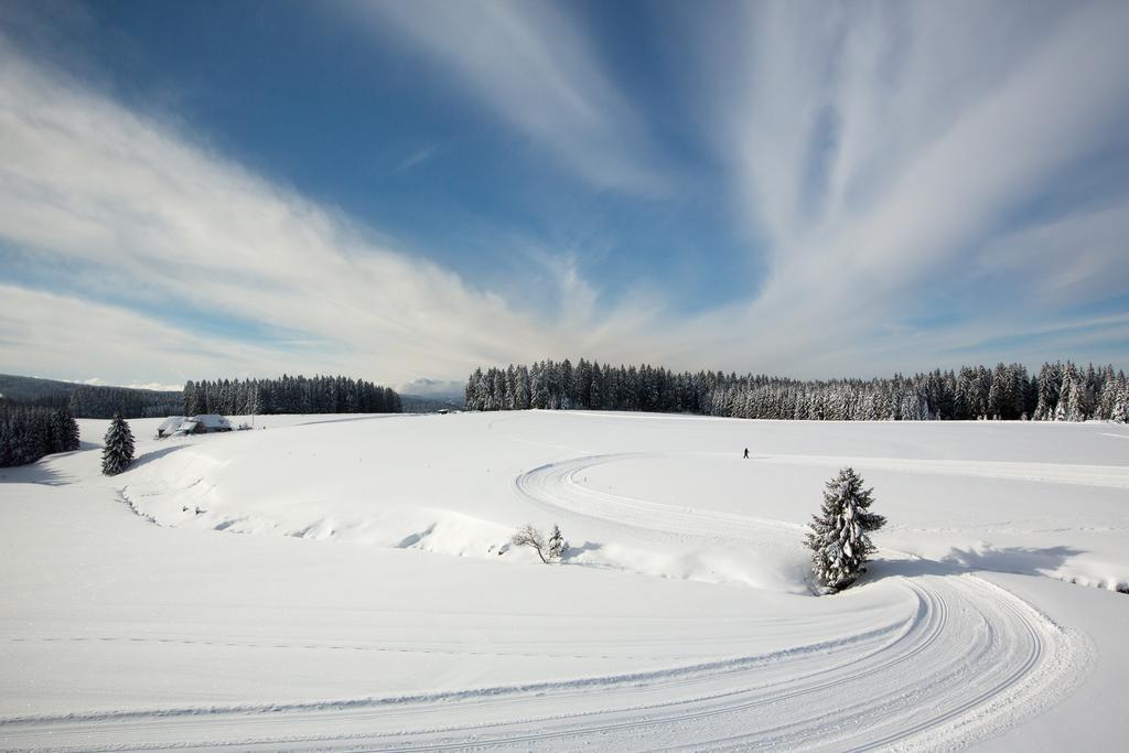 ホテル Gasthaus Zum Hirschen フルトヴァンゲン エクステリア 写真